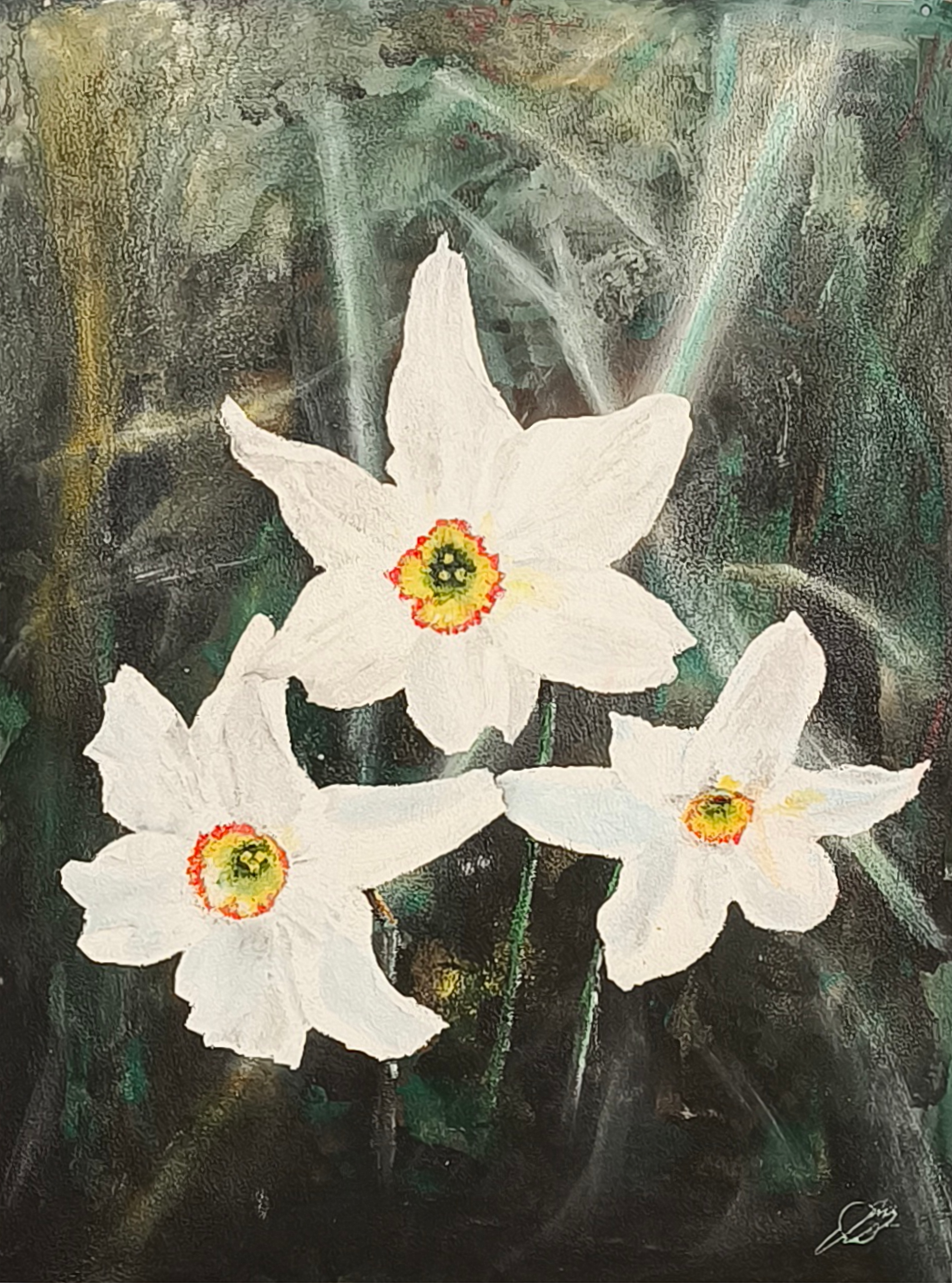 Narcisi
