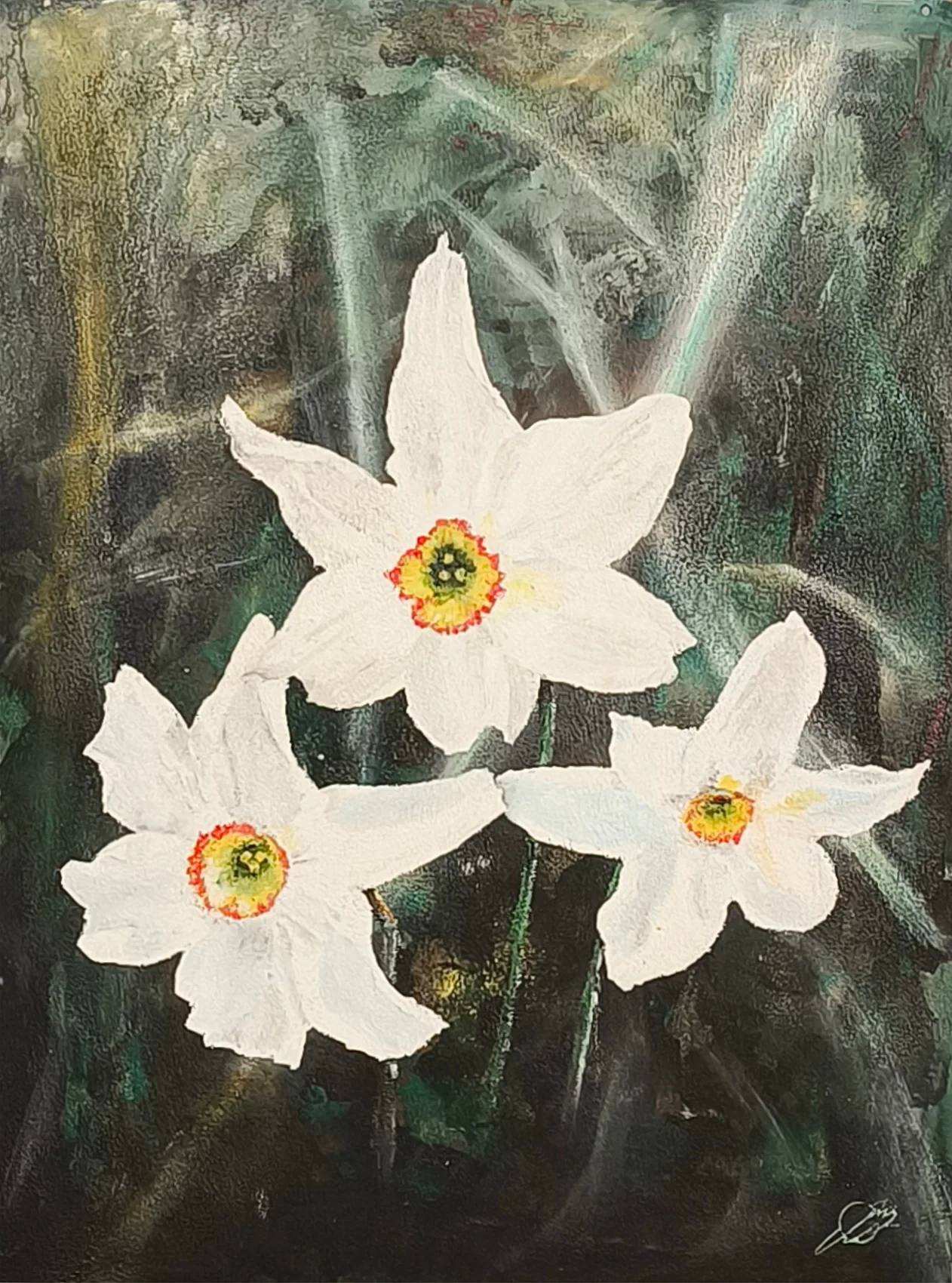 Narcisi